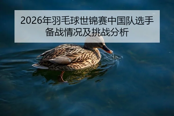 2026年羽毛球世锦赛中国队选手备战情况及挑战分析