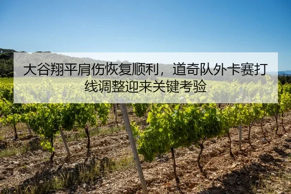 大谷翔平肩伤恢复顺利，道奇队外卡赛打线调整迎来关键考验