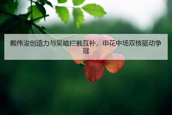 dai-wei-jun-chuang-zao-li-yu-wu-xi-lan-jie-hu-bu-shen-hua-zhong-chang-shuang-he-qu-dong-zheng-guan-2-494.jpg